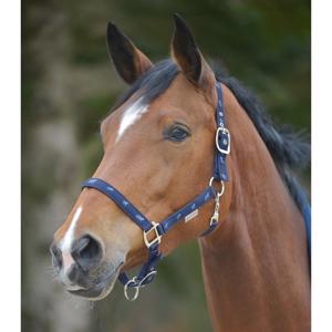 Waldhausen Little Horse Grime - Navy